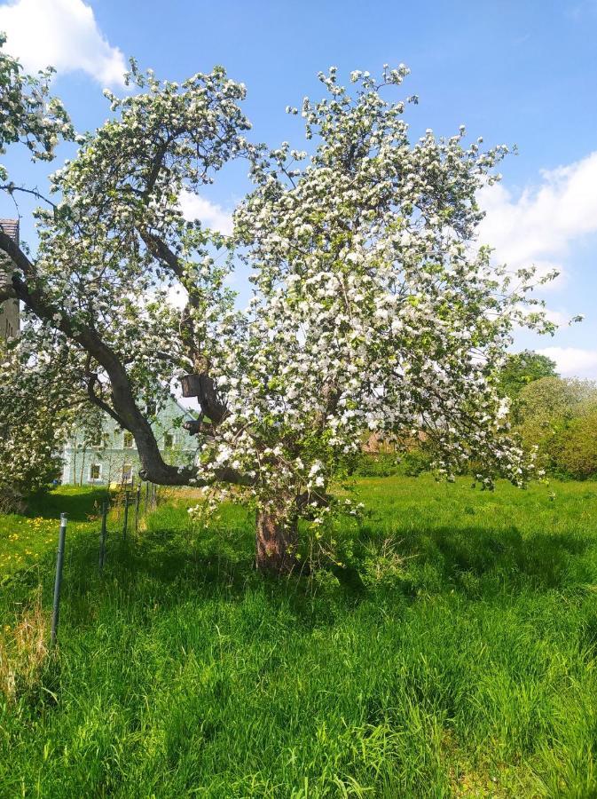 Polny Zakątek - pokoje gościnne Rybnica Zewnętrze zdjęcie